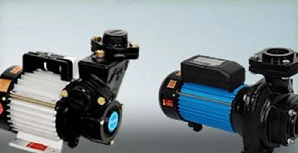 Two electric monoblock water pumps